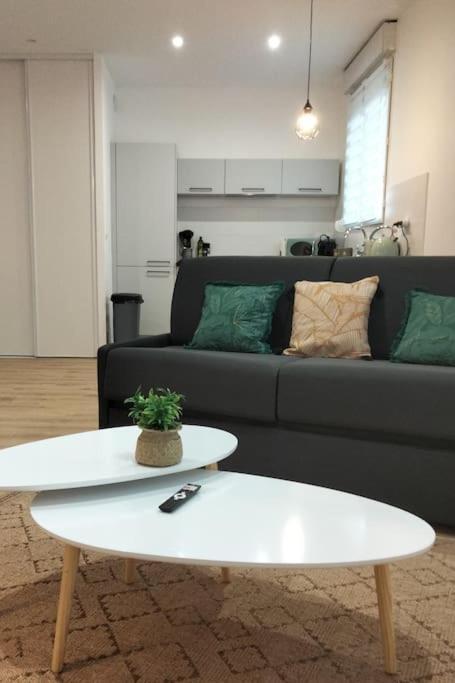 Appartement L'Escale Balzac à Villeurbanne Extérieur photo